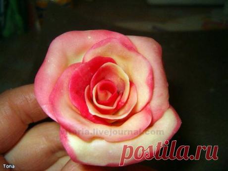 Шоколадные розы