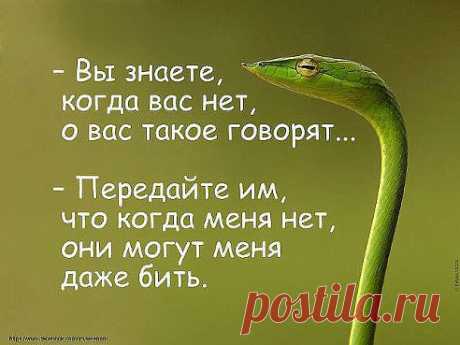 (79) Одноклассники
