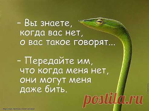 (79) Одноклассники