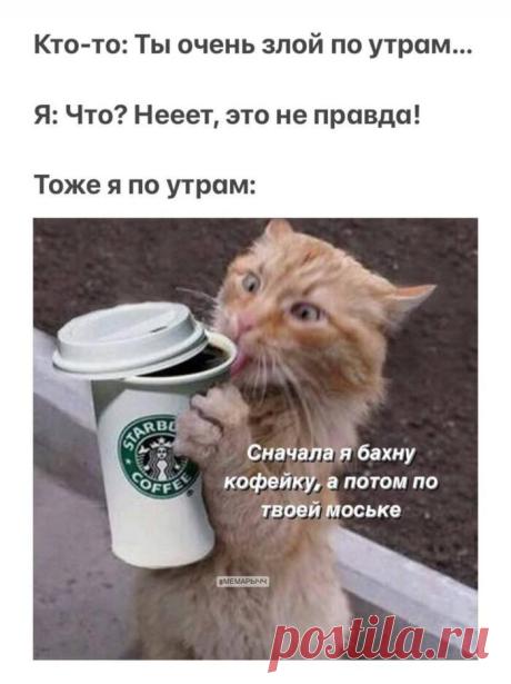 Доброе утро - 12.08.22 16:52 | Пикабу