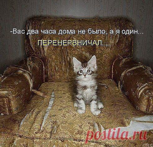 Бедненький , перенервничал. Дайте маленьком успокоительного.