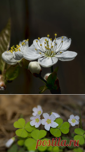 Фотопутешествия: Весна -2