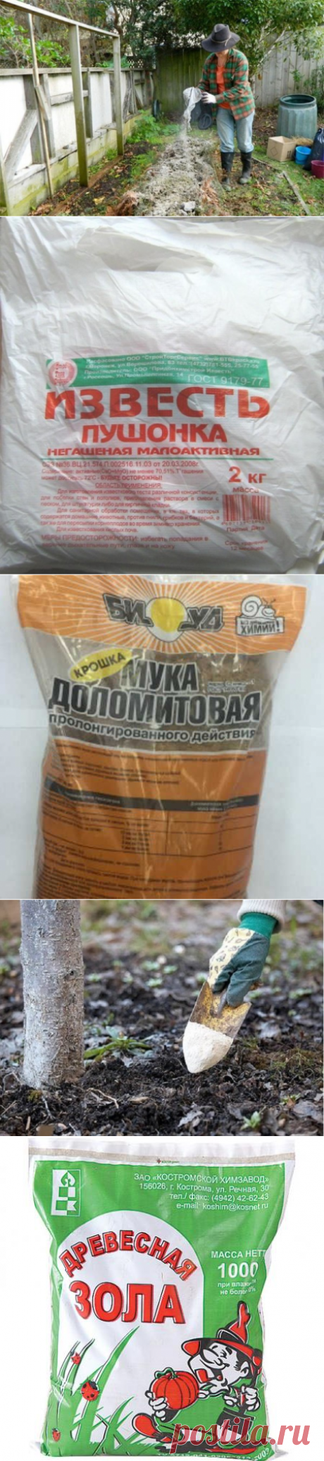 Доломитовая мука: отличный урожай без химии