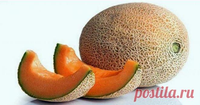 15 щелочных продуктов, которые предотвращают ожирение, рак и сердечные заболевания!