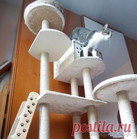 Домик для кошки своими руками Кошки очень любят подвижные игры, прыгать по полкам и лазить по занавескам. Но после их игр хозяину приходится пересаживать цветы из опрокинутых горшочков, переклеивать обои и собирать осколки от посу...