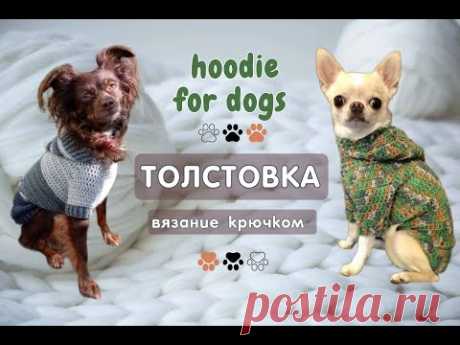 Как связать толстовку крючком для собак, hoodie for dogs