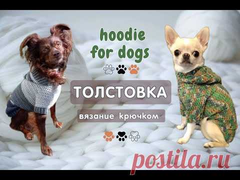 Как связать толстовку крючком для собак, hoodie for dogs