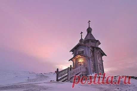 Мудрые мысли ... أفكار حكيمة .  добавлена ​​Фотография в Альбом  Матушка Земля-она Прекрасна