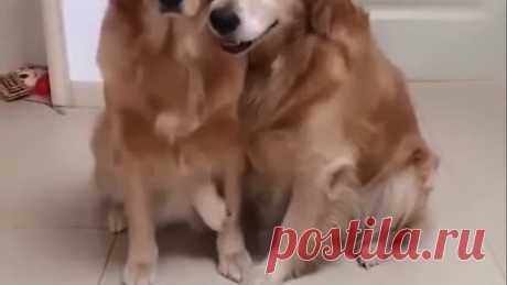 Обнимашки для грустных