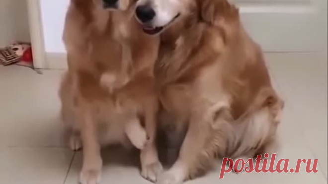Обнимашки для грустных