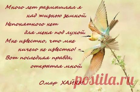 Омар Хайям. Мне известно, что мне ничего не известно