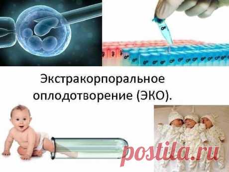Комментарии к теме