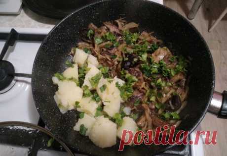 Что приготовить на ужин быстро и полезно. Так какой же вкусный и полезный ужин можно приготовить быстро В первую очередь нужно озаботиться наличием продуктов. Если у вас найдётся дома капуста, грибы, картофель, лук и немного зелени, то успех вам обеспечен! Можно за полчаса приготовить отличный ужин, приложив минимум усилий. И в награду получаем вкусное и полезное блюдо. Капуста с грибами и картофелем Для приготовления нам понадобится:Капуста обычная 150 гр. Грибы свежие
КАПУСТА С ГРИБАМИ И