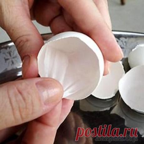 Как вывести липому (жировик)? Самый эффективный метод народной медицины