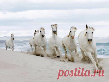 Фотографии на стене сообщества | 32 767 фотографий | ВКонтакте