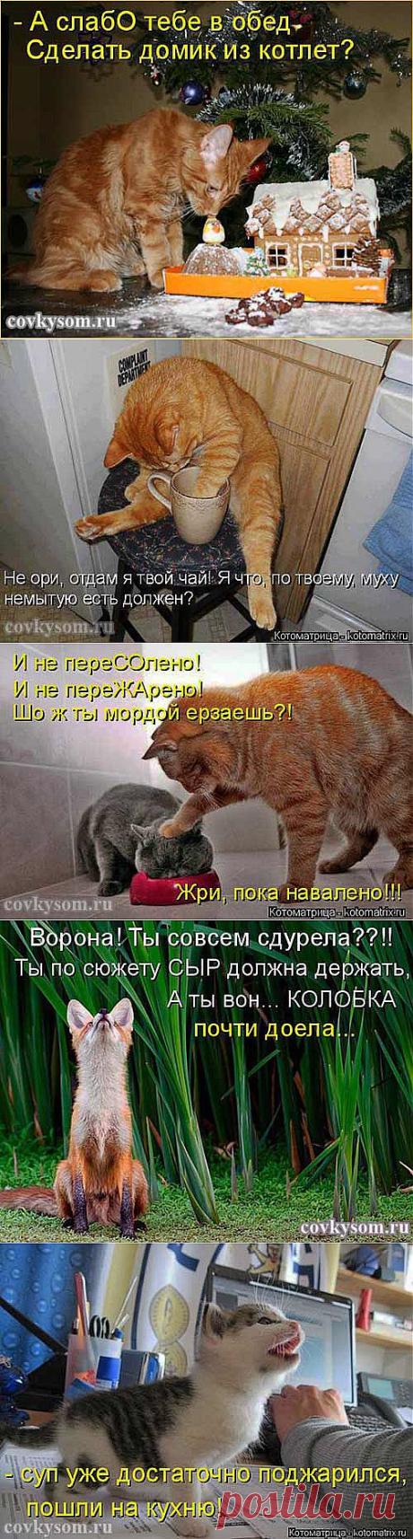 Домик из котлет - кулинарный юмор | Со вкусом