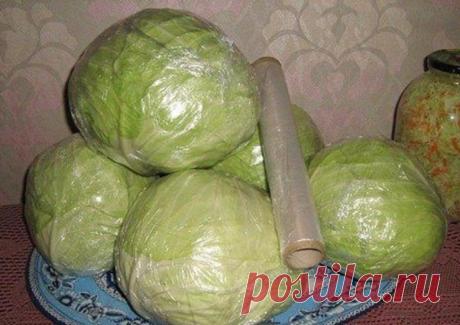Как сохранить капусту свежей до лета? 
Сохранить капусту поможет обычная пищевая пленка.Для начала удалите с кочанов подпорченные, пожелтевшие, сухие листья.Срежьте кочерыжку.Чистый кочан герметично оберните пленкой в несколько слоёв, пло…