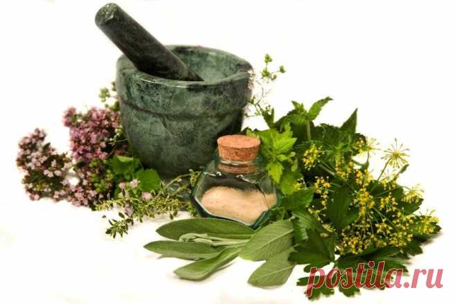 Народные способы: как избавиться от перхоти
