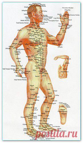 Биологически активные точки | Домашняя медицина