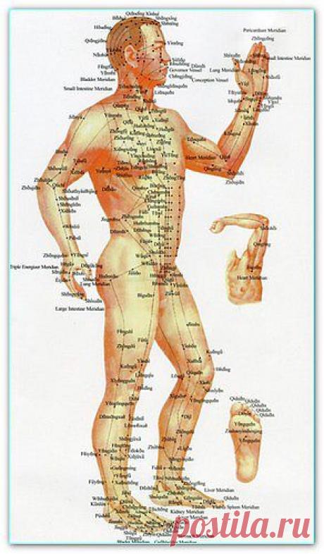 Биологически активные точки | Домашняя медицина