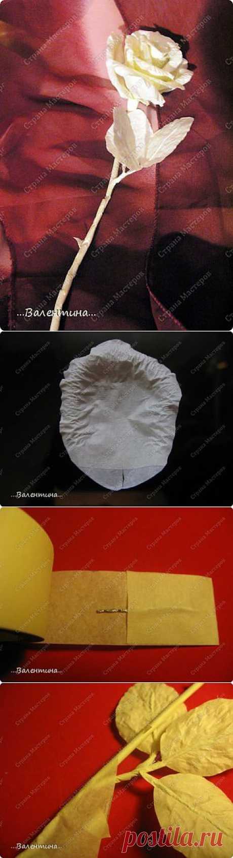 Роза из малярного скотча.