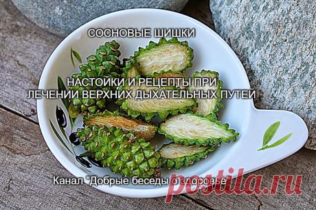 НАСТОЙКИ ИЗ СОСНОВЫХ ЗЕЛЕНЫХ ШИШЕК ПРИ ЛЕЧЕНИИ ДЫХАТЕЛЬНЫХ ПУТЕЙ.

Сосновые настойки (особенно из молодых сосновых шишек) обладают противомикробным, дезодорирующим и дезинфицирующим свойством. При применении этих настоек совместно – достигается наилучший лечебный эффект: укрепляются защитные силы организма (иммунитет), выводятся шлаки и токсины, подавляется болезнетворная микрофлора.

Настойки употребляются при заболеваниях органов дыхания как простудного, так и инфекционного характера.