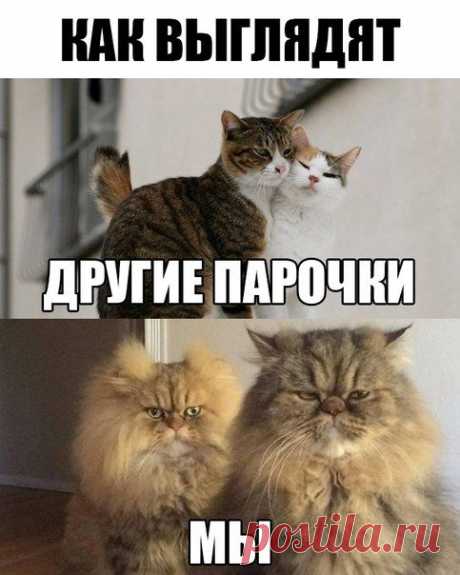 Дмитрий Ларьков