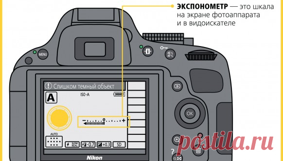 Как научиться фотографировать: пошаговая инструкция от Nikon