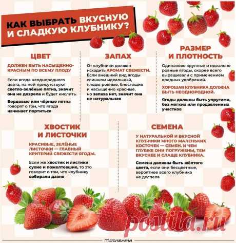 Как выбрать вкусную и сладкую клубнику