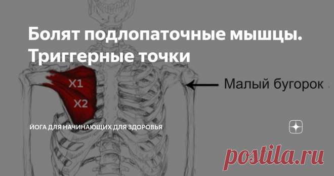 Болят подлопаточные мышцы. Триггерные точки Статья автора «Йога для начинающих для здоровья» в Дзене ✍:   Подлопаточная мышца, скрытая в глубине плечевого сустава, является частым источником болевых ощущений и формирования триггерных точек,...