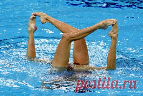 Наталья ищенко фото ножки Medch.ru — сайт для женщин о красоте, моде, здоровье и отношениях Все о здоровом организме, эффективных тренировках и правильном питании, советы по обустройству дома и сада, ведению бюджета и домашнему хозяйству, бьюти-советы.