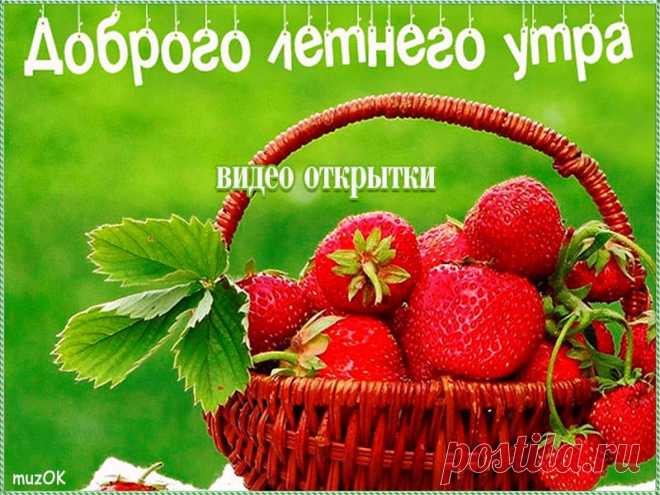С добрым летним утром. Видео открытки * МУЗыкальный подарОК Скачать бесплатно красивые видео открытки с добрым летним утром для друзей и любимых. Счастливого утра. Пусть лето не кончается.