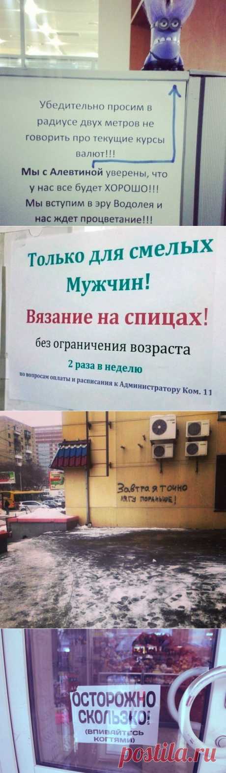 15 объявлений месяца, которые невозможно забыть