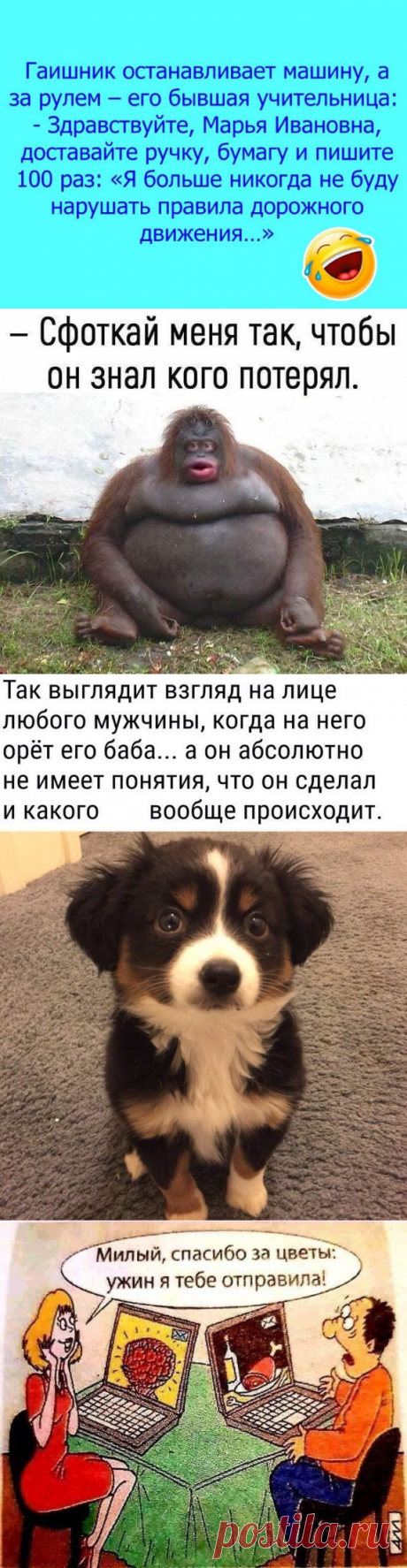 АНЕКДОТЫ Шпульку наденьте на шпиндель моталки