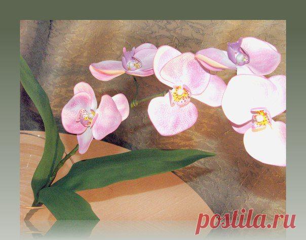 Товары Мастерская Ольги Захаровой. | 11 товаров