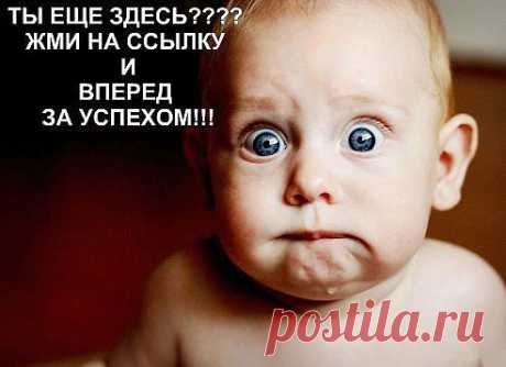 ВАМ - СЮДА! Всем кто хочет зарабатывать и решить свои финансовые проблемы, проект дает на раскрутку 50 долларов. Прибыль от 40 до 50%     https://webtransfer-finance.com/ru/?id_partner=81578884