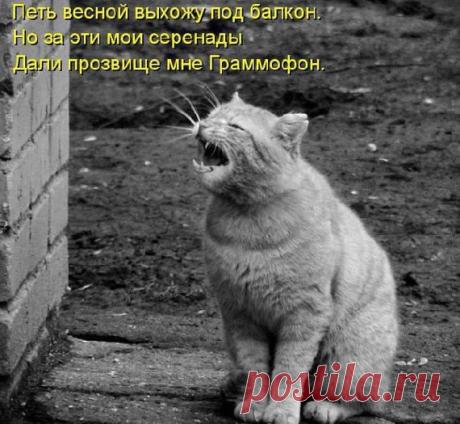 Интересные новости