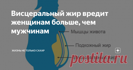 Висцеральный жир вредит женщинам больше, чем мужчинам Многие женщины иронично называют жировые отложения на талии «спасательным кругом». У жира, который находится где-то глубоко внутри, никакого шутливого прозвища нет, и это правильно.