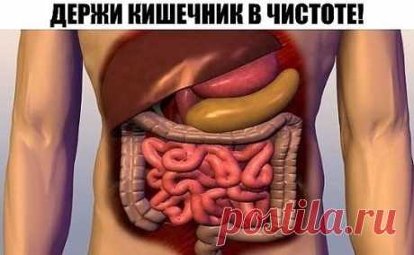 ДЕРЖИ КИШЕЧНИК В ЧИСТОТЕ!