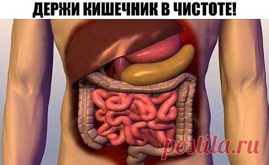 ДЕРЖИ КИШЕЧНИК В ЧИСТОТЕ!