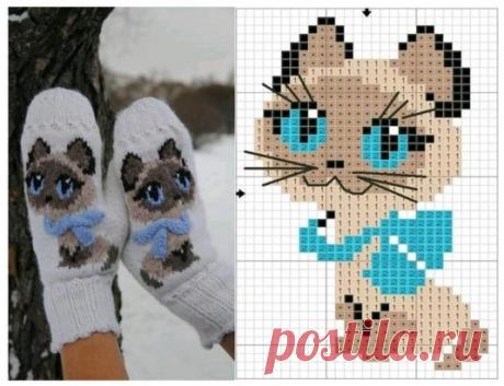 Котик на варежки