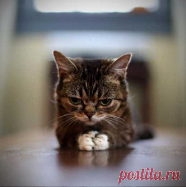 Я ДУМАЮ!...