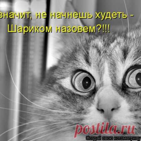 Котоматрицы великолепные, каждая с кусочком позитива!!!