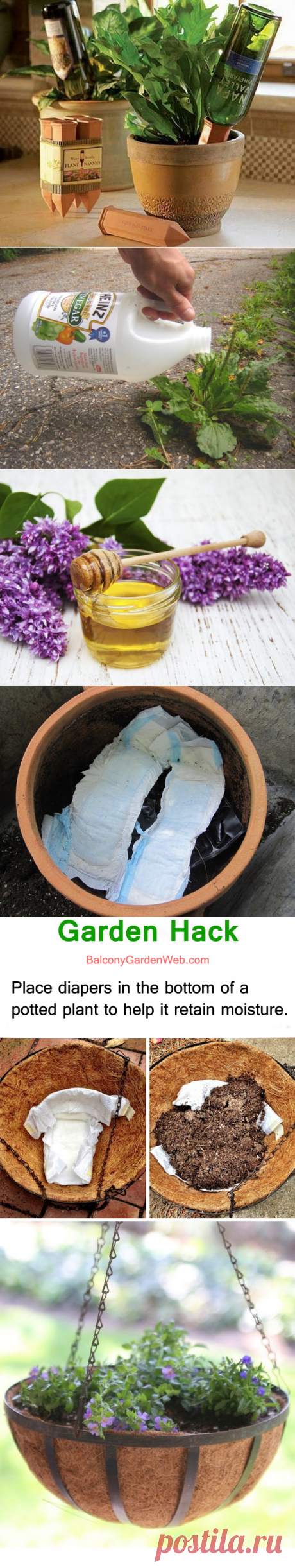 22 Gardening Hacks That'll Change the Way You Garden Forever | Balcony Garden Web