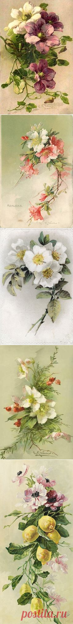 (205) HOLLY AND CHRISTMAS ROSES | Ephemera~Birds & Flowers
