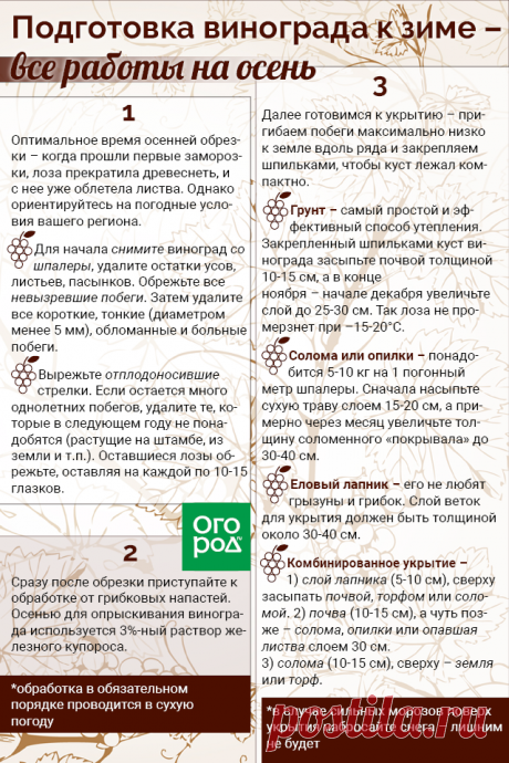 Подготовка винограда к зиме
