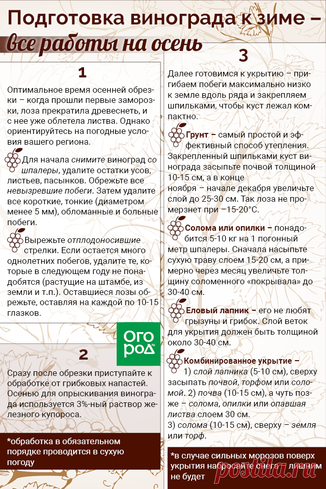 Подготовка винограда к зиме