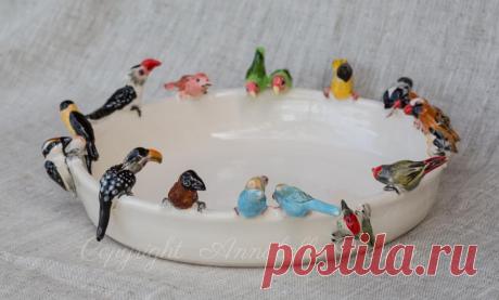 This may contain: small birds sitting on top of a white plate