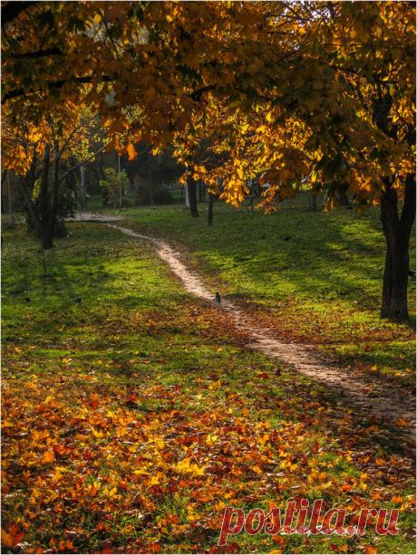 Фотография Приближается вечер / Сергей Корниенко / photographers.ua