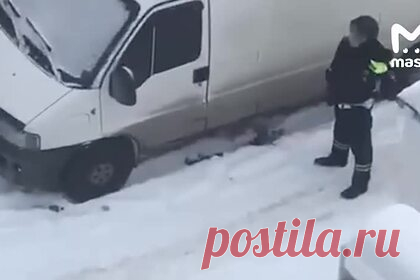 Опубликовано видео с места стрельбы россиянина по прохожим из окна. В городе Среднеуральске Свердловской области мужчина открыл стрельбу из окна жилого дома по прохожим. В настоящее время двор дома оцеплен, на месте работают сотрудники полиции. Как сообщил РЕН ТВ со ссылкой на очевидцев, перед тем как начать беспорядочную стрельбу, мужчина убил жену.